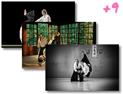 Aikido theme pack