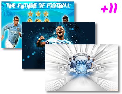 Manchester City Fc theme pack