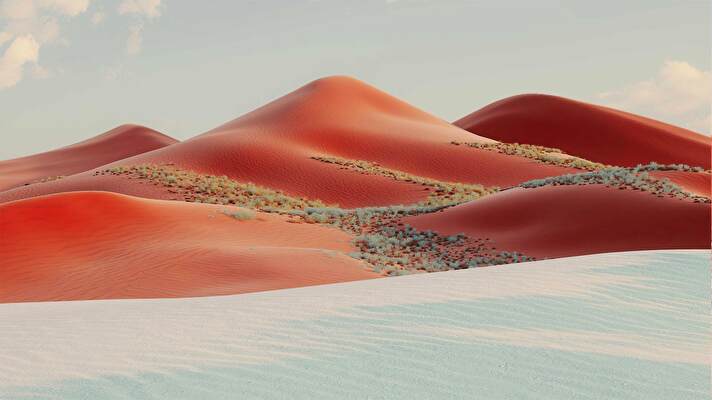 Sand Dunes background 2