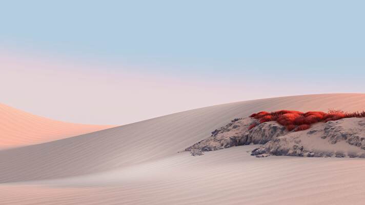 Sand Dunes background 3